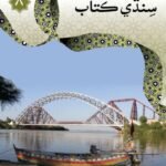 SINDHI BOOK 8