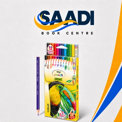 Dollar My Pencil Wow Color Pencils (large) – Pack of 12 Colors